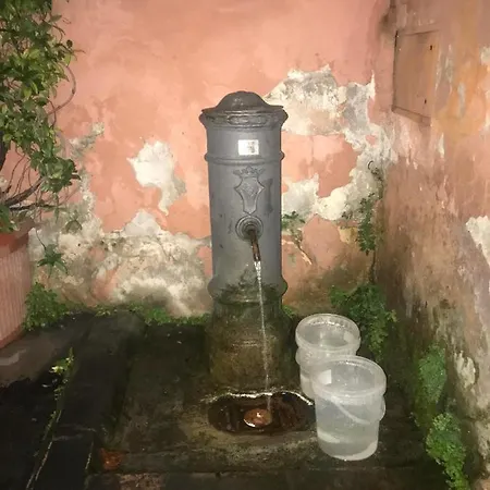 Saint Peter Cozy * Rome